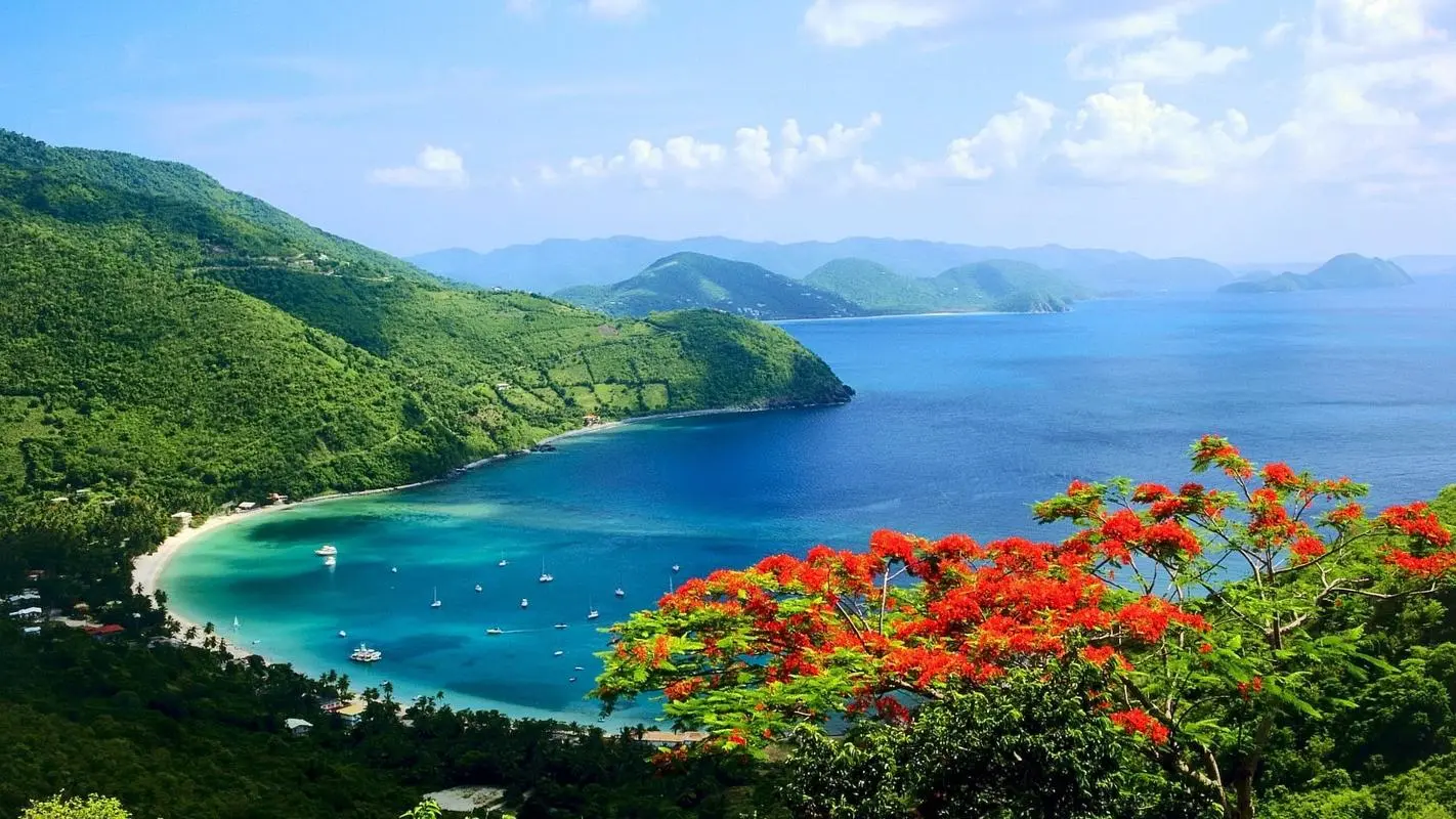 高性能高质量可靠性